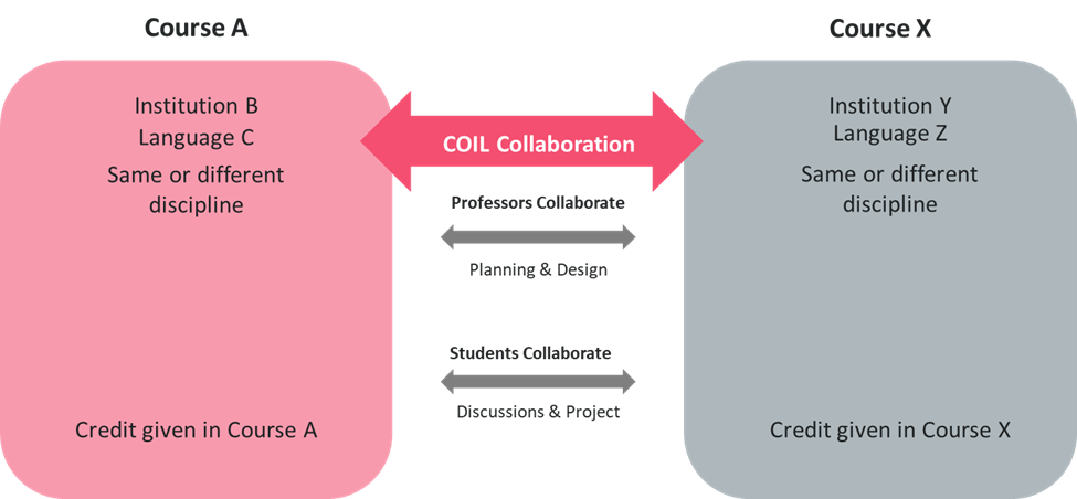 Modified diagram showing the concept of the COIL collaboration between two projects