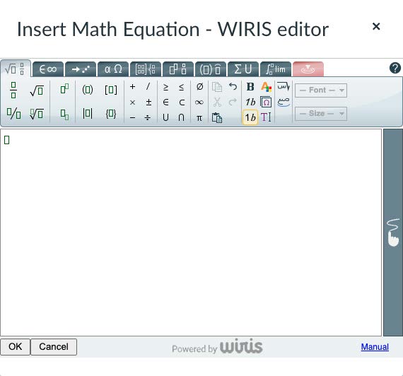 The MathType equation editor in CarmenCanvas. 