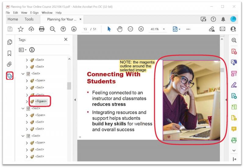 Screenshot of a PDF document with the tags icon, and a select "Figure" tag circled in red, as well as a significant message reading "NOTE: the magenta outline around the select image" which is also circled in red.